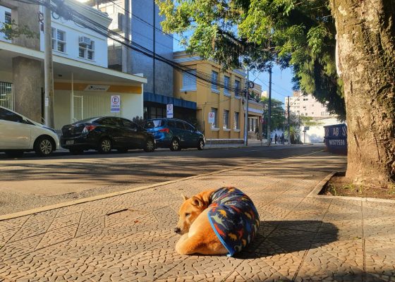 O inverno chagando para todos.