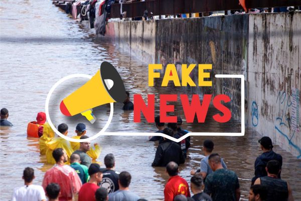 fake canoas